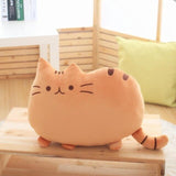 40cm x 30cm  Soft Plush Stuffed Pillows