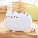 40cm x 30cm  Soft Plush Stuffed Pillows