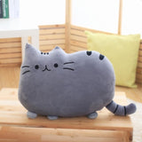 40cm x 30cm  Soft Plush Stuffed Pillows