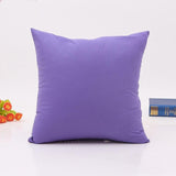 45cm x 45cm  Pure Color  Pillow Cases