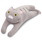 Soft  Cotton Plush  Pillows