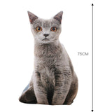 Soft Animal Yomdid Cat Pillows