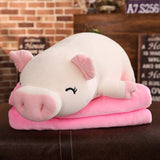 40-100CM Cotton Pig Plush  Pillow